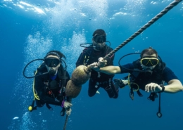 SDI-Assistant-Insturctor-1200x628