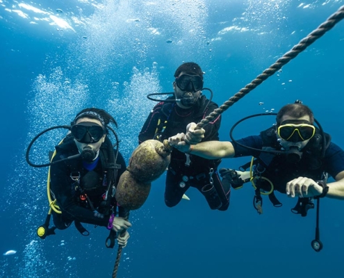 SDI-Assistant-Insturctor-1200x628