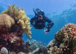 TDI-Approves-Halcyon-Symbios-CCR