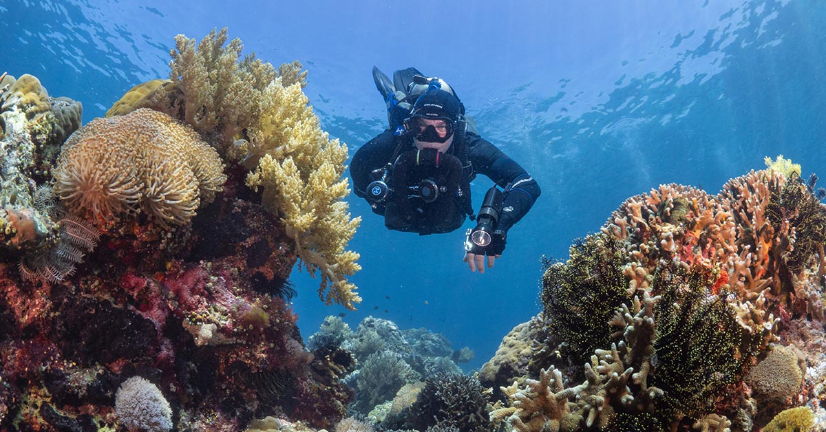 TDI-Approves-Halcyon-Symbios-CCR