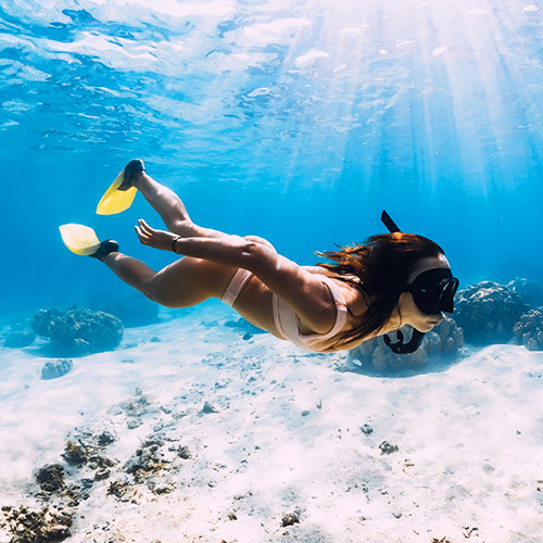 A-Step-Toward-Future-Diving-Adventures A-Step-Toward-Future-Diving-Adventures