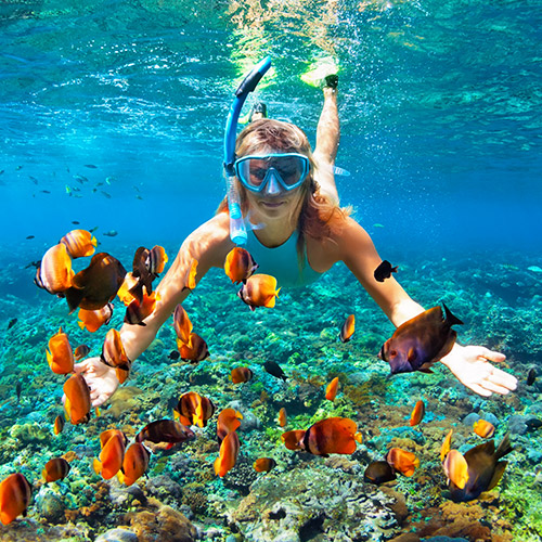 Aquatic-Environment Aquatic-Environment