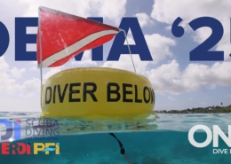 standards-in-the-RSTC