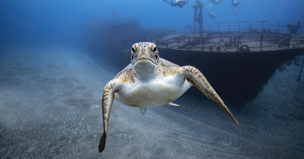 Diving-St.-Eustatius