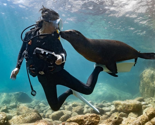 Diving-for-Mental-Health