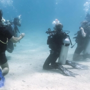 Knees-Off-The-Bottom