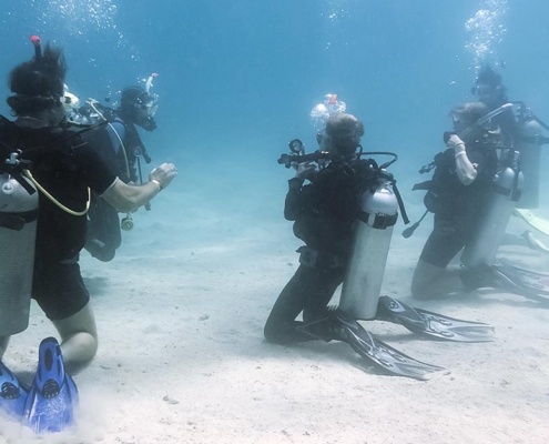 Knees-Off-The-Bottom