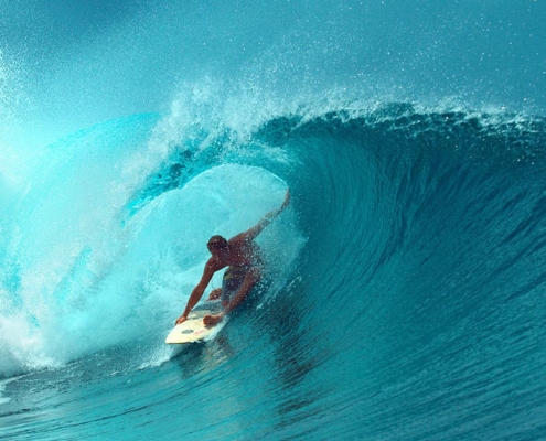 Looking-Beyond-the-Dive-Show-Floor