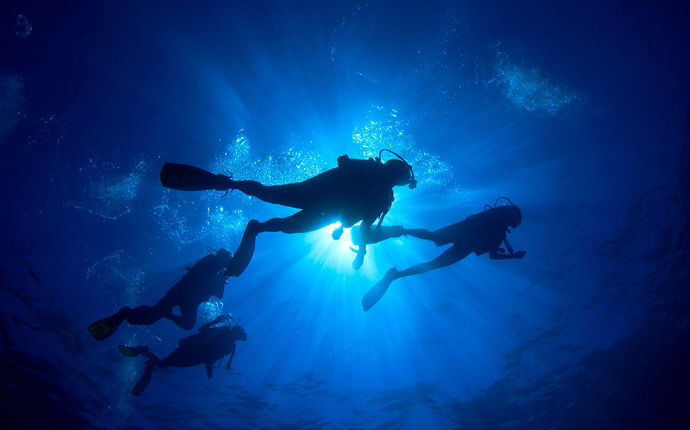 Mastery-and-Competence Mastery-and-Competence