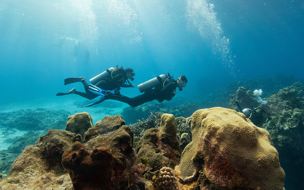 The-Adventure-Beneath-the-Surface The-Adventure-Beneath-the-Surface