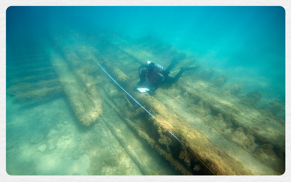 archaeologist- archaeologist