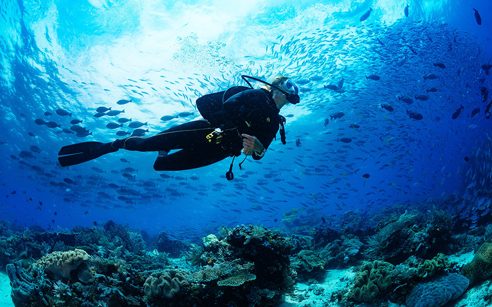 benefits-of-diving benefits-of-diving